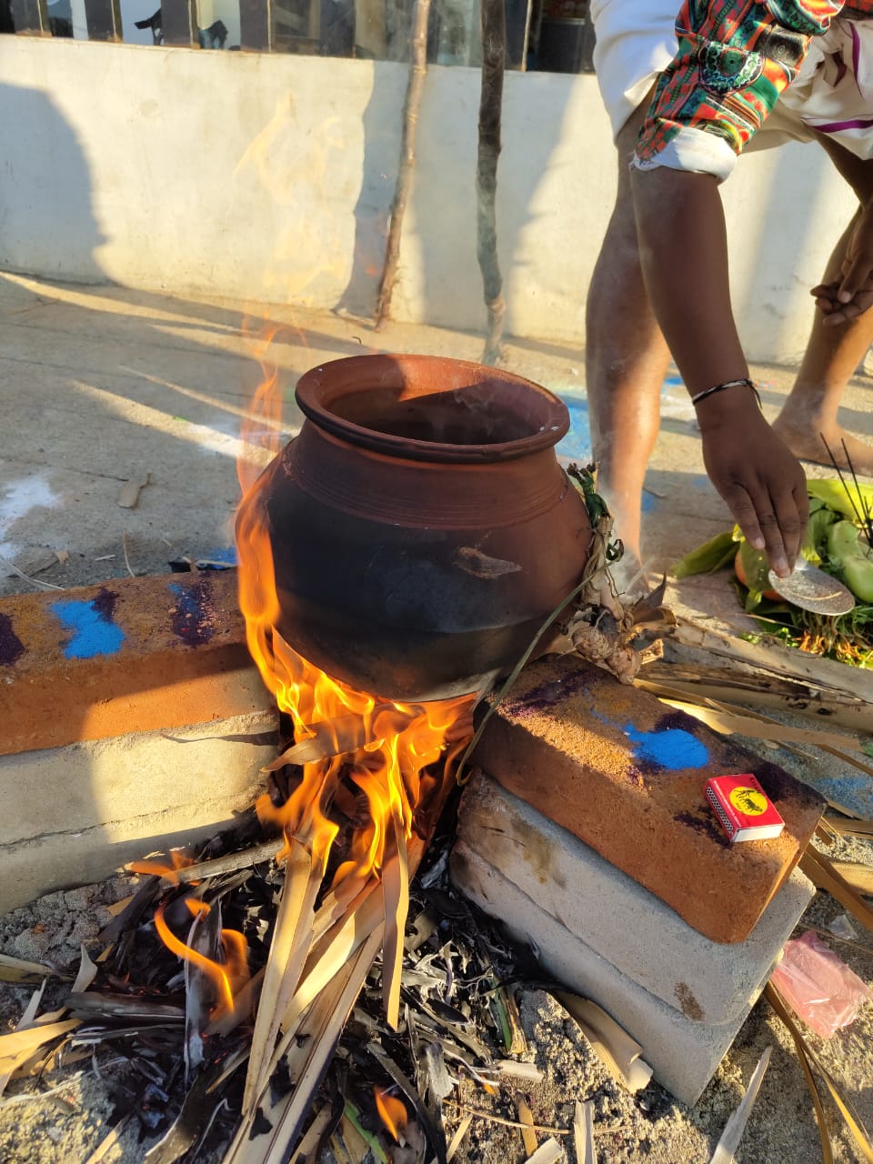 Pongal Celebration in KK Plaza