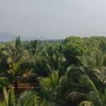 Churches and Temples in Kavalkinaru