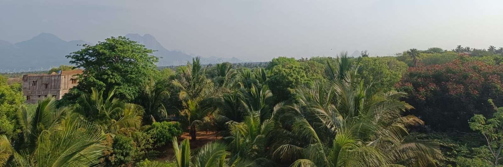 Churches and Temples in Kavalkinaru