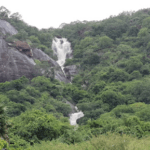 Nearby Forest and Waterfalls of…