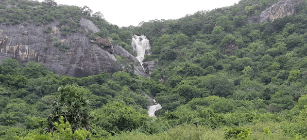 Nearby Forest and Waterfalls of Kavalkinaru