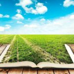 The Indian Agriculture College