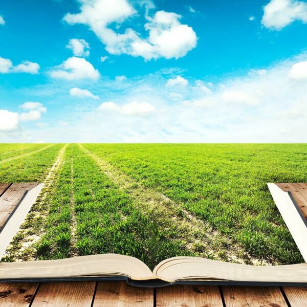 The Indian Agriculture College