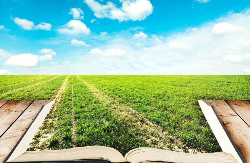 The Indian Agriculture College