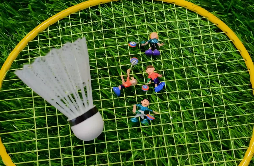 Mini Badminton Club in panagudi